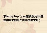 求bumptop（pro破解版,可以碰撞和翻書的那個版本是中文版）