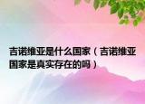 吉諾維亞是什么國家（吉諾維亞國家是真實存在的嗎）