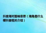 抖音海對面啥意思（海角是什么梗抖音相關(guān)介紹）