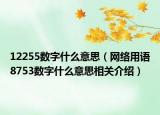 12255數(shù)字什么意思（網(wǎng)絡(luò)用語(yǔ)8753數(shù)字什么意思相關(guān)介紹）