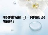 哪只狗排名第一（一窩狗第幾只狗最好）