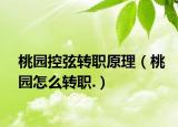 桃園控弦轉(zhuǎn)職原理（桃園怎么轉(zhuǎn)職.）