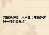 龍貓多少錢一只米色（龍貓多少錢一只相關介紹）