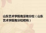 山東藝術(shù)學(xué)院有沒有分校（山東藝術(shù)學(xué)院有分校吧嗎）