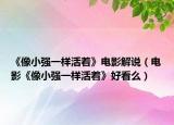 《像小強一樣活著》電影解說（電影《像小強一樣活著》好看么）