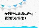 愛的死心塌地女聲dj（愛的死心塌地）