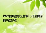 PNY的U盤怎么樣?。ㄊ裁磁谱拥腢盤好點(diǎn)）