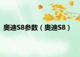 奧迪S8參數(shù)（奧迪S8）