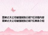 董卿丈夫公司被強制執(zhí)行超7億詳細內容 董卿丈夫公司被強制執(zhí)行超7億具體介紹