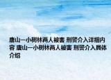 唐山一小樹林兩人被害 刑警介入詳細(xì)內(nèi)容 唐山一小樹林兩人被害 刑警介入具體介紹