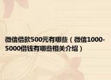 微信借款500元有哪些（微信1000-5000借錢有哪些相關(guān)介紹）