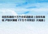 自掛東南枝十萬個(gè)冷笑話歌詞（自掛東南枝 盧恒宇演唱《十萬個(gè)冷笑話》片尾曲）