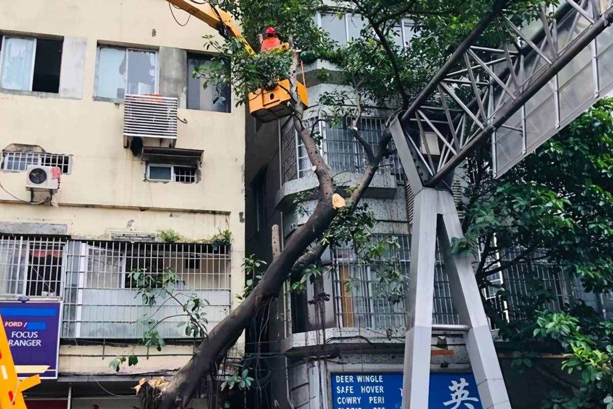 廣東這一城中村下達(dá)拆遷通知了！每平米賠付10萬，讓人“眼紅”
