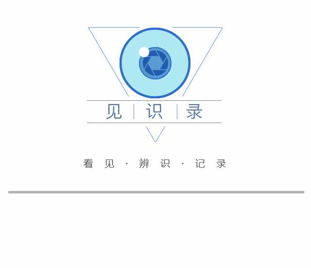 薰衣草花海盛開，上海青浦尋夢園景區(qū)“正是一年好風景”……