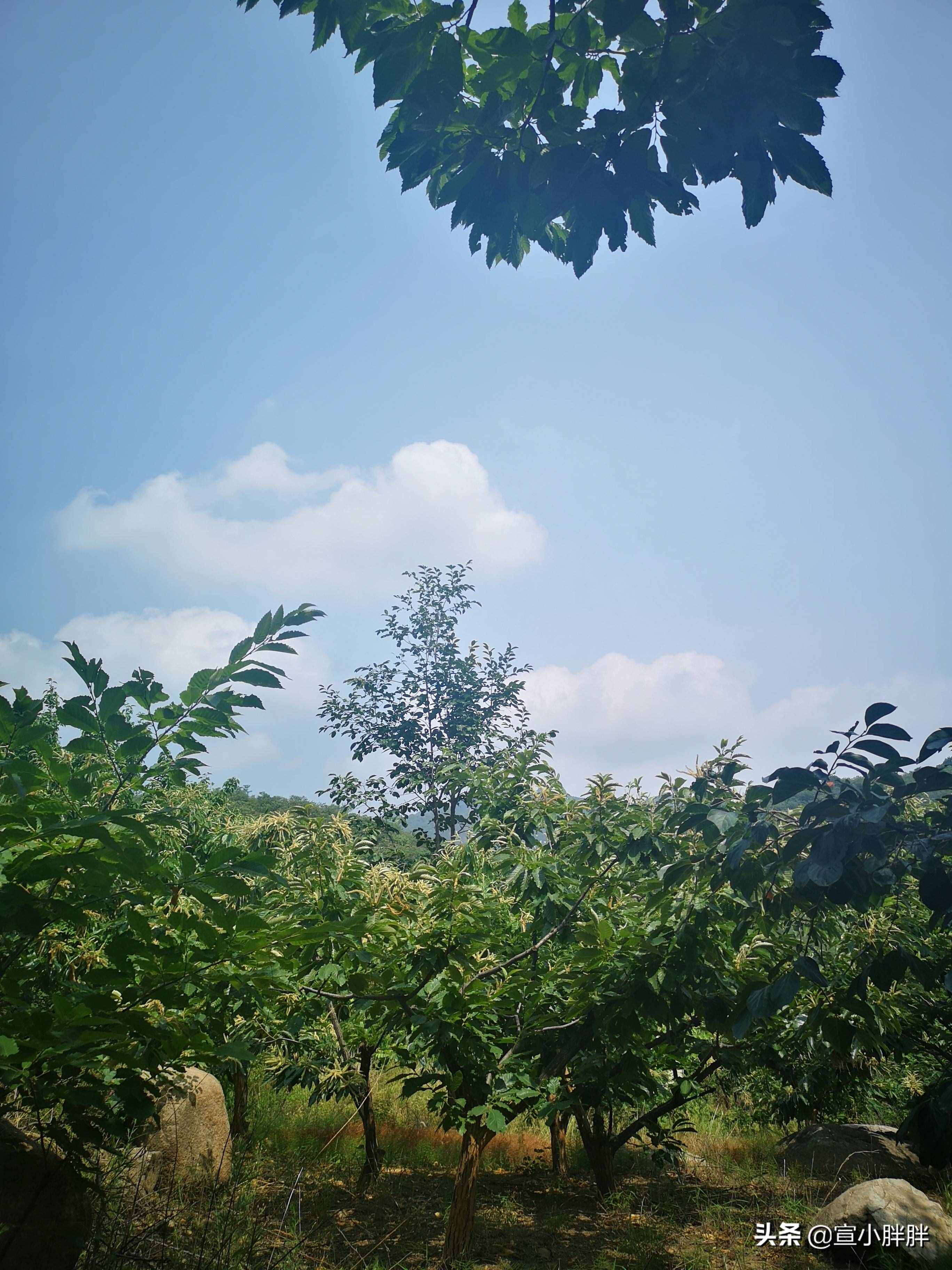 北京懷柔的鱗龍山自然風(fēng)景區(qū)，奇峰怪石，滿山果香
