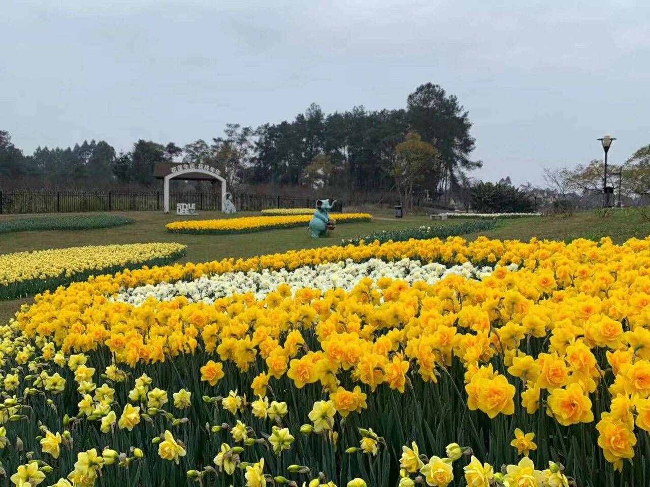 石象湖景區(qū)3月1日起有序開放，門票5折優(yōu)惠，每日限客3000人