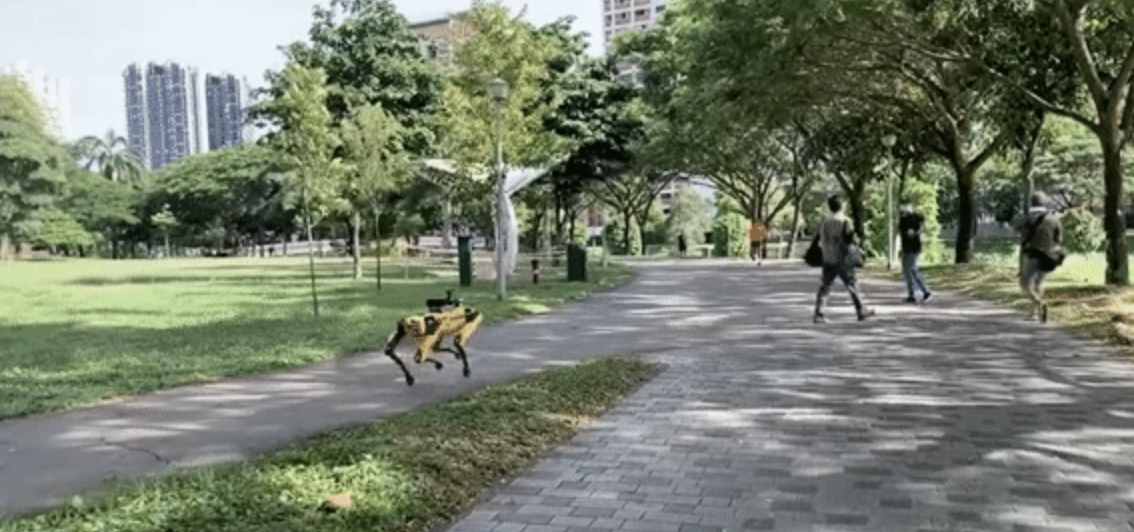 疫情期間，不守規(guī)矩，那就對不住了，上機(jī)器小黃狗