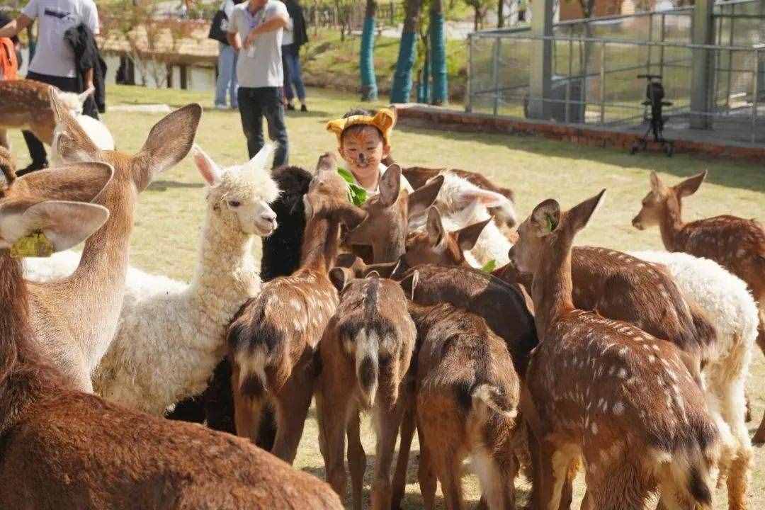12月，南京這六個景點免費開放啦