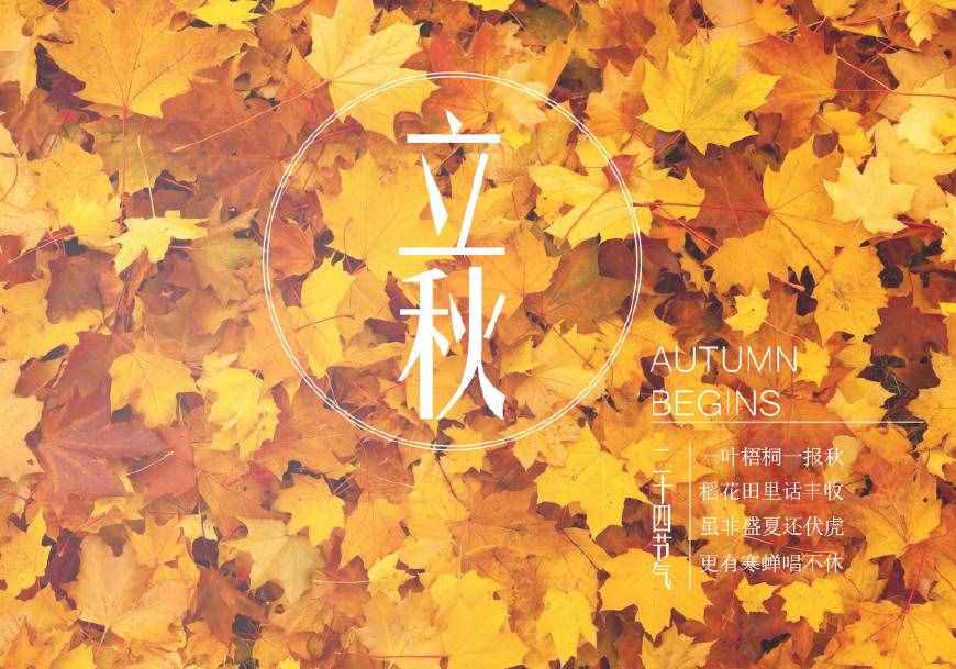 100句秋天詩詞：哪一句是你心中的秋天？