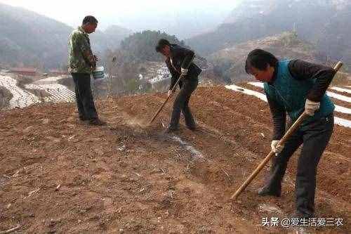 這幾種冷門生意，干的人很少，了解的人也不多，但是真的很暴利！