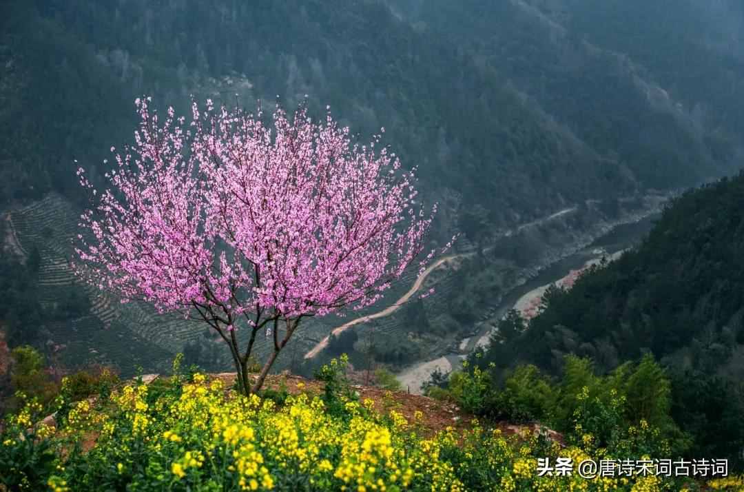 萬籟此俱寂，但余鐘磬音
