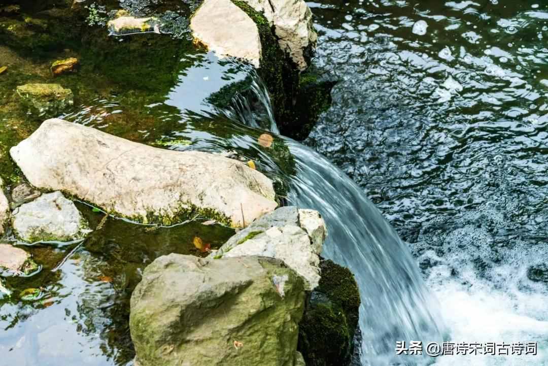 萬籟此俱寂，但余鐘磬音