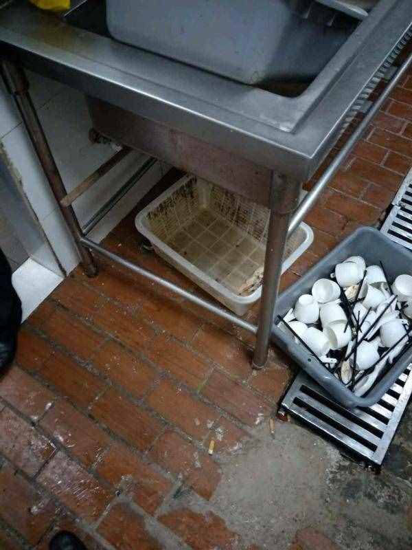 俏江南后廚再曝黑幕：老鼠屎遍布，死蟑螂臥餐盤三天無人處理
