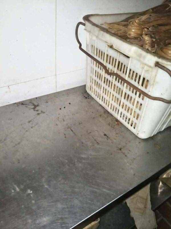 俏江南后廚再曝黑幕：老鼠屎遍布，死蟑螂臥餐盤三天無人處理