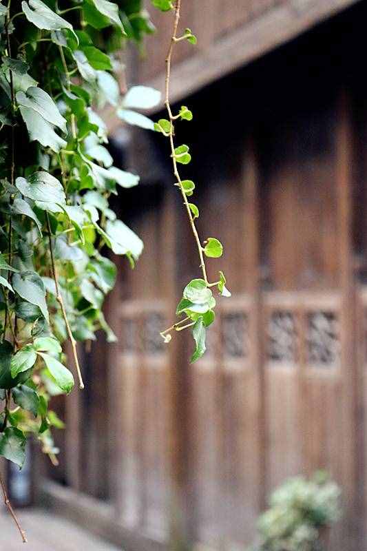 古風‖《李白詩詞》十首（十一）