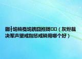 鎯╂垝楠戞垝鎸囧拰鎶（灰燼裁決軍聲望戒指懲戒騎用哪個好）