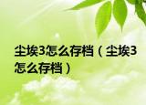 塵埃3怎么存檔（塵埃3怎么存檔）
