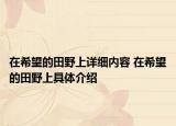 在希望的田野上詳細內(nèi)容 在希望的田野上具體介紹