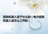巡檢機(jī)器人是干什么的（電力巡檢機(jī)器人是怎么工作的）