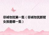 非誠勿擾第一集（非誠勿擾斷臂女孩是哪一集）