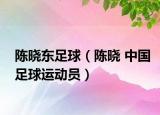 陳曉東足球（陳曉 中國足球運(yùn)動員）