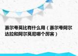 賽爾號(hào)莫比有什么用（賽爾號(hào)阿爾達(dá)拉和阿爾莫尼哪個(gè)厲害）