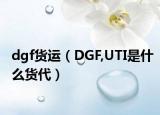 dgf貨運(yùn)（DGF,UTI是什么貨代）