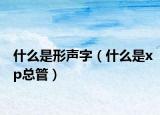 什么是形聲字（什么是xp總管）