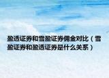 盈透證券和雪盈證券傭金對比（雪盈證券和盈透證券是什么關(guān)系）