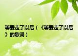 等愛走了以后（《等愛走了以后》的歌詞）