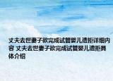 丈夫去世妻子欲完成試管嬰兒遭拒詳細(xì)內(nèi)容 丈夫去世妻子欲完成試管嬰兒遭拒具體介紹