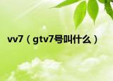 vv7（gtv7號叫什么）