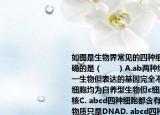 如圖是生物界常見(jiàn)的四種細(xì)胞下列說(shuō)法正確的是（　　）A.ab兩種細(xì)胞可能來(lái)自同一生物但表達(dá)的基因完全不同B.（cd兩種細(xì)胞均為自養(yǎng)型生物但c細(xì)胞無(wú)成形的細(xì)胞核C. abcd四種細(xì)胞都含有兩種核酸但遺傳物質(zhì)只是DNAD. abcd四種細(xì)胞都能發(fā)生滲透作用ab細(xì)胞甚至漲破