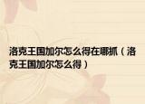 洛克王國加爾怎么得在哪抓（洛克王國加爾怎么得）