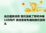 當(dāng)日最新消息 豬價漲瘋了即將沖破13元每斤 發(fā)改委發(fā)布通知豬價漲到頭