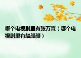 哪個電視劇里有張萬森（哪個電視劇里有趙顏顏）