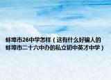 蚌埠市26中學怎樣（這有什么好騙人的蚌埠市二十六中辦的私立初中英才中學）