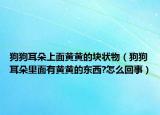 狗狗耳朵上面黃黃的塊狀物（狗狗耳朵里面有黃黃的東西?怎么回事）