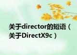 關(guān)于director的短語(yǔ)（關(guān)于DirectX9c）