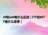 itf和wtf有什么區(qū)別（ITF和WTF是什么意思）